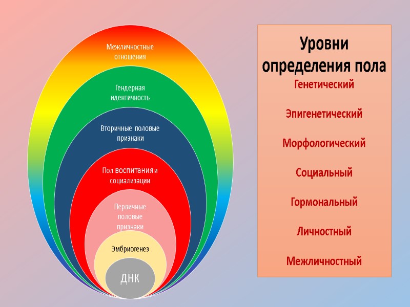 Уровни определения пола Генетический  Эпигенетический  Морфологический  Социальный  Гормональный  Личностный
